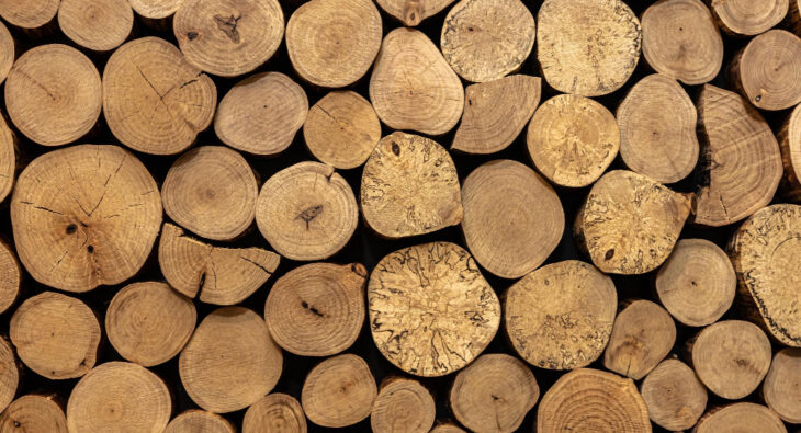 Jaka jest cena drewna opałowego?