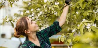 Praca sezonowa za granicą – gdzie warto aplikować?